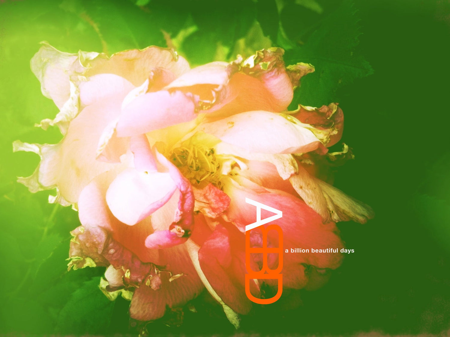ABBD  :  a billion beautiful days