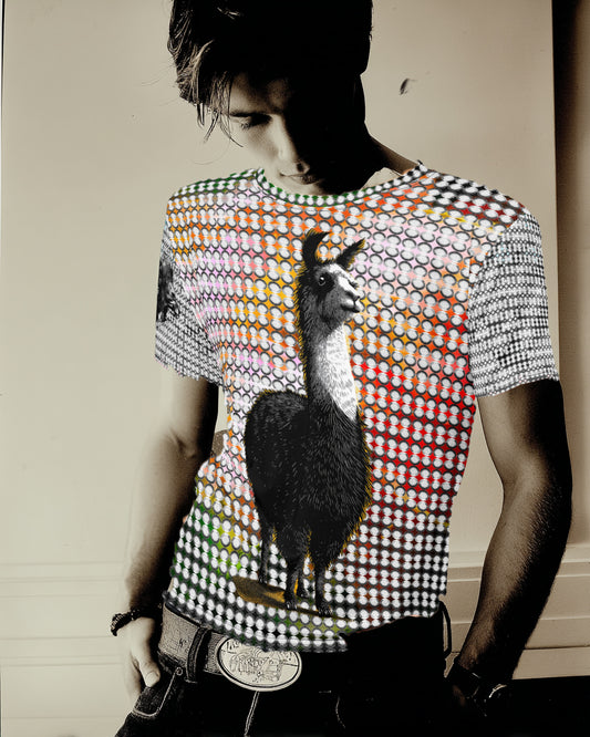DoT LLAMA T